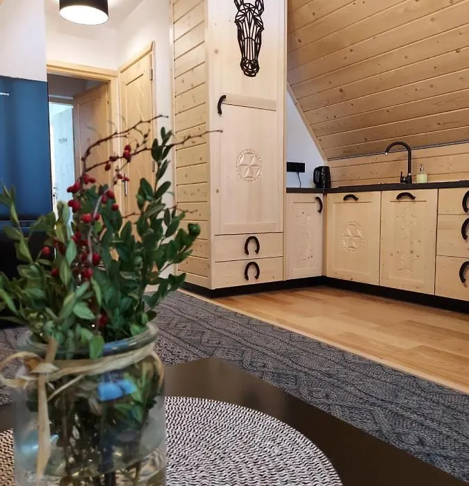 Apartamenty - Droga do Walczaków 37a-1